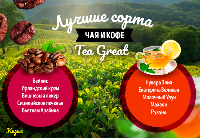 TeaGreat ✯ Лучшие Сорта Чая - Королевская Смесь - Всеобщий восторг!